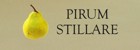 PIRUM