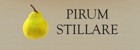 PIRUM