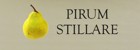PIRUM