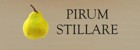 PIRUM